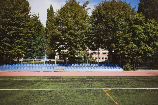 Zdjęcie widok pustego stadionu przez drzewa na tle nieba