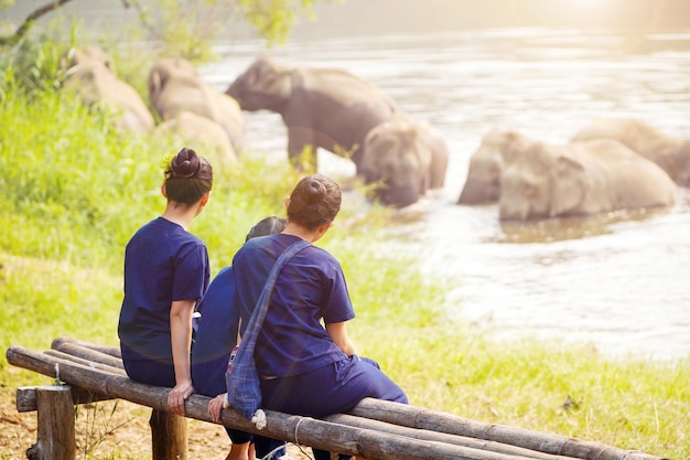 Zdjęcie widok rodziny podróżnych patrzących na stado azjatyckich słoni kąpających się w parku narodowym