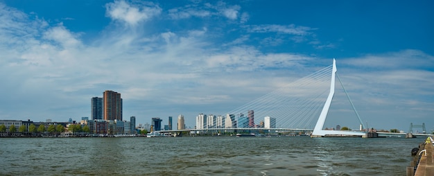 Widok rotterdamu nad nieuwe maas z mostem erasmusbrug rotterdam holandia