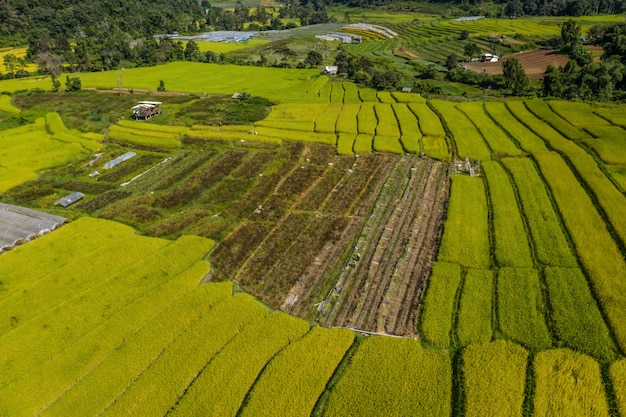 Zdjęcie widok scenics z tarasu na wzgórzach