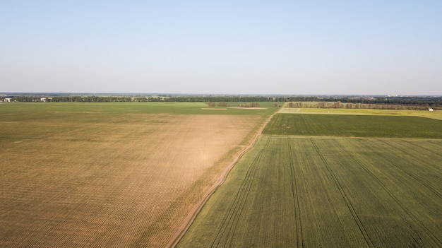 Widok uprawianych roślin