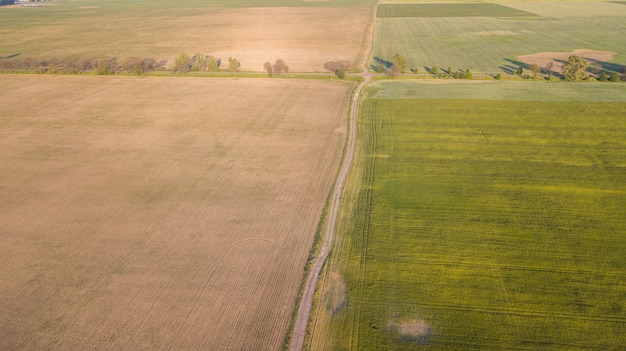 Widok uprawianych roślin