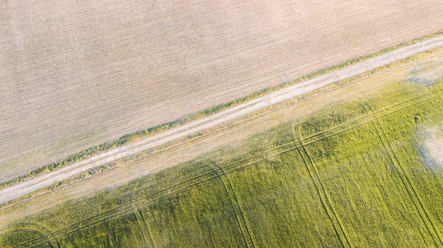 Widok uprawianych roślin