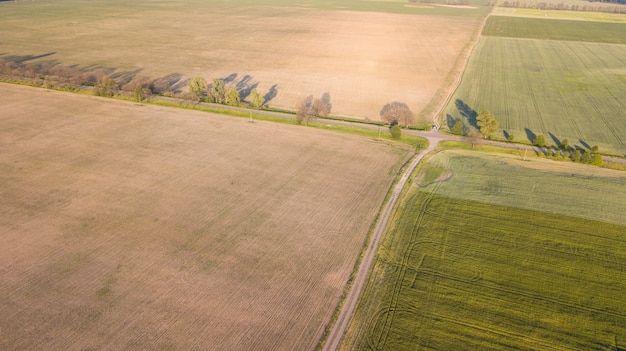 Widok uprawianych roślin