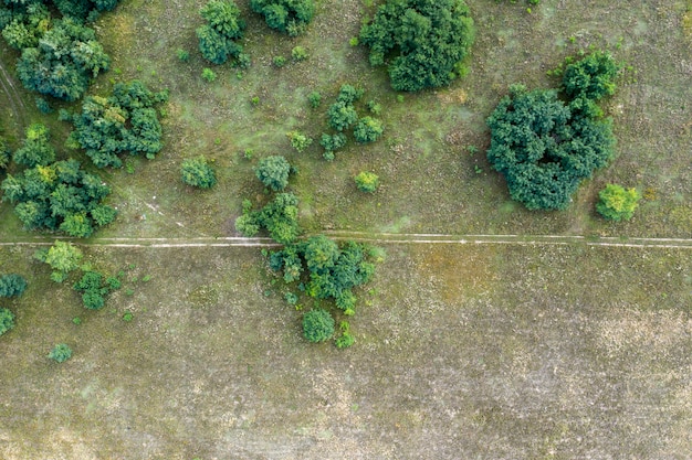 widok wiejskiej drogi z góry widok z lotu ptaka