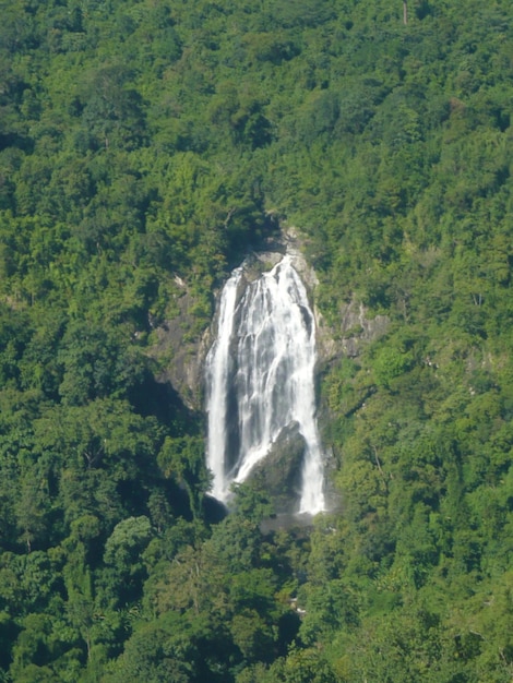 Zdjęcie widok wodospadu w lesie
