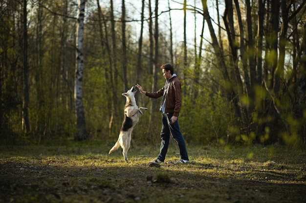 Widok z boku na właściciela płci męskiej bawiącego się z dużym psem pasterskim stojącym na tylnych łapach na trawniku w lesie