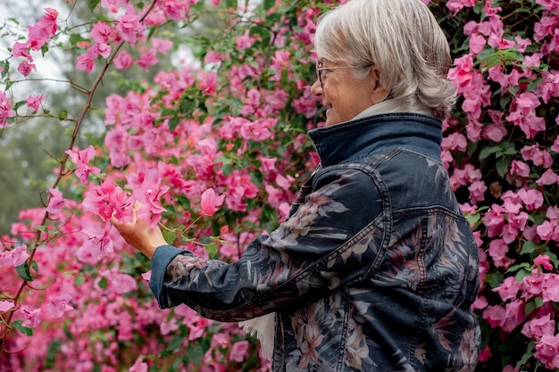 Widok z boku starszej kobiety w parku podziwiającej kwitnącą różową bugenwillę Białowłosa starsza pani ciesząca się wolnym czasem i emeryturą na świeżym powietrzu