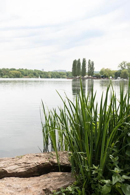 Widok z brzegu na jezioro