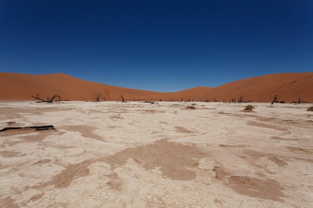 Widok z Dead Vlei Sossusvlei Namibia