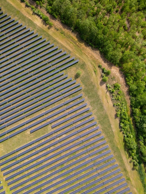 Zdjęcie widok z drona na elektrownię słoneczną w pobliżu lasu w lecie energia odnawialna spotyka się z naturą w