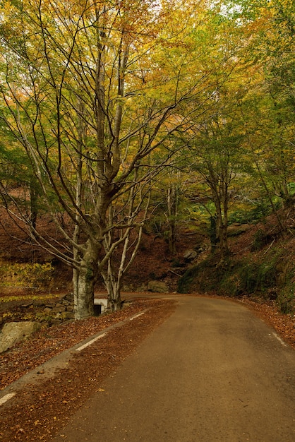 Widok z górskiej drogi. Drogi asfaltowe, w okresie jesiennym.