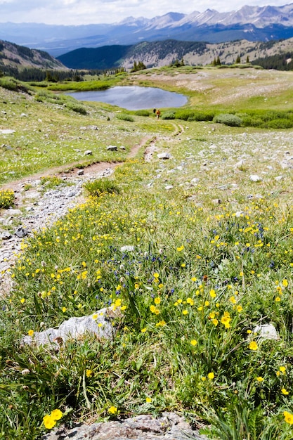 Widok z góry Cottonwood Pass w stanie Kolorado.