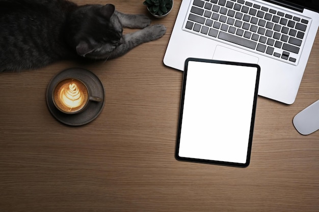 Widok z góry cyfrowy tablet laptop i uroczy kot na drewnianym stole