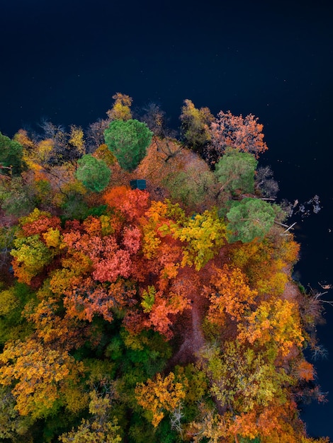 Widok z góry kolorowych drzew leśnych i jeziora jesienią na Ukrainie