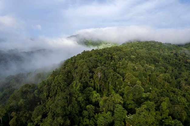 Widok z góry Krajobraz porannej mgły z warstwą górską na północy Tajlandii grzbiet górski i chmury w lesie krzewów wiejskich dżungli