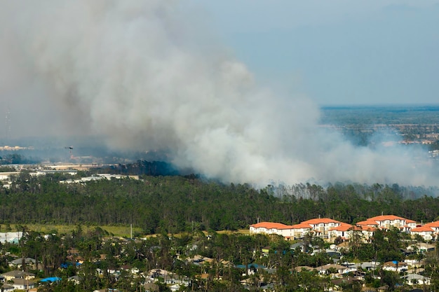 Widok z góry lasowego pożaru w North Port City na Florydzie Gorące płomienie w lesie z toksycznym dymem zanieczyszczającym atmosferę
