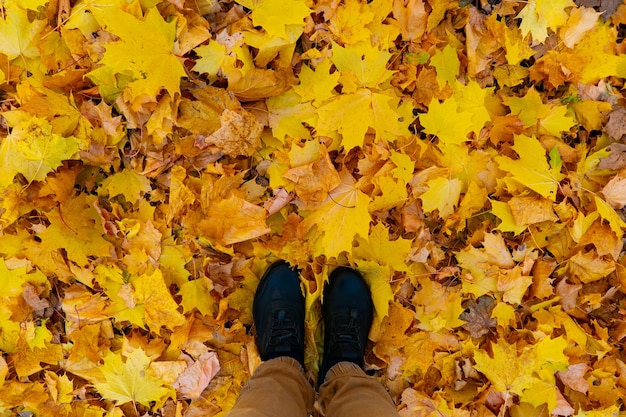Widok z góry męskich butów na warstwie żółtych jesiennych liści opadających z drzew jesienne zdjęcie zmiany pory roku