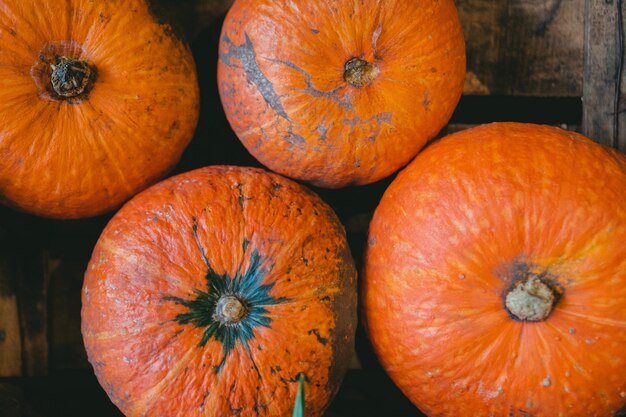 Widok z góry na cztery organiczne pomarańczowe dynie