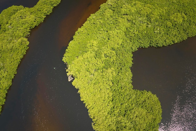 Widok z góry na Everglades Florydy z zieloną roślinnością między wlotami wody oceanicznej Naturalne siedlisko wielu gatunków tropikalnych na terenach podmokłych