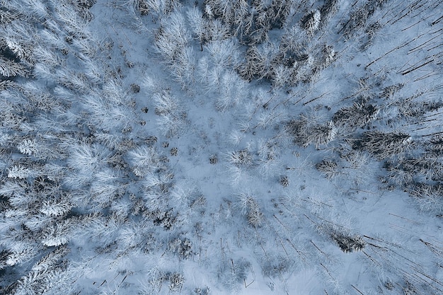 widok z góry na las zimą, krajobraz przyrody w zaśnieżonym lesie, zdjęcie aero