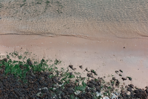 Widok z góry na plażę morską z falami.