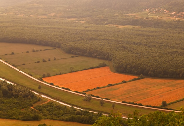 Widok z góry na pole uprawne