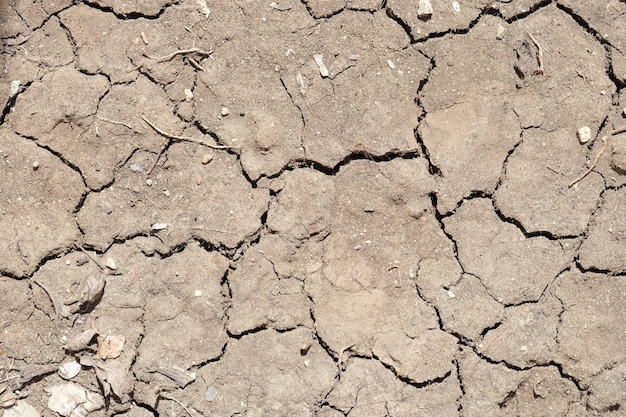 Widok z góry na teren suszy bez efektu suchego gruntu przez długi okres nienormalnie niskiego poziomu
