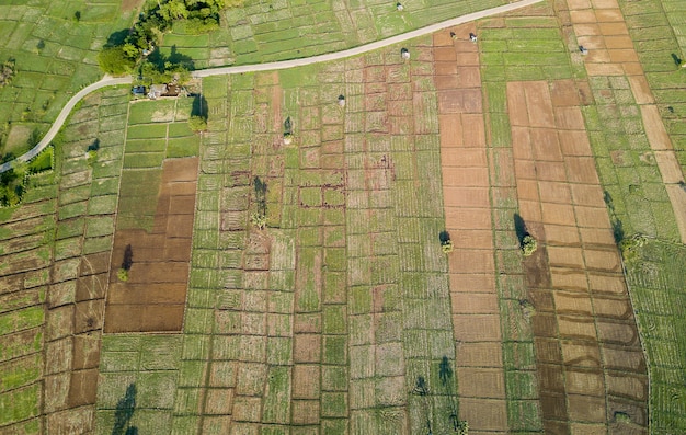 Widok Z Góry Na Wiejską Drogę Przechodzącą Przez Zielony Las