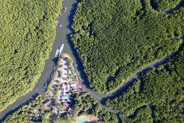 Widok z góry Port w lesie namorzynowym Widok z lotu ptaka drzew leśnych Ekosystem lasów deszczowych i zdrowe środowisko tła Tekstura zielonych drzew las z góry na dół Wysoki kąt widzenia