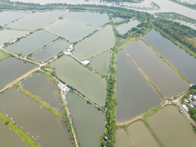 Widok z góry Staw wylęgarni ryb