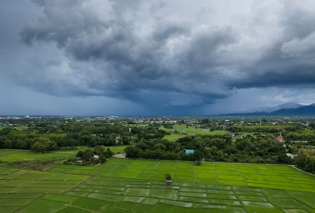 Widok z góry Tarasowe pole ryżowe w Chiangmai w północnej Tajlandii?