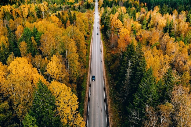 Widok z góry z lotu ptaka na drogę z samochodem przez jesienny las z kolorowymi liśćmi