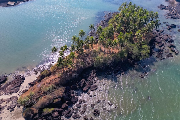 Widok z góry z lotu ptaka na tropikalnej plaży z zielonymi palmami w świetle słonecznym Widok z drona w Goa