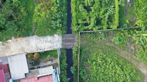 Zdjęcie widok z góry zielone drzewa z rzeką