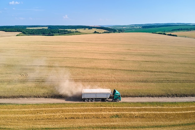Widok z lotu ptaka ciężarówka ciężarówka jazdy na polnej drodze między polami pszenicy rolniczej. Transport ziarna po zbiorze kombajnem w sezonie żniwnym