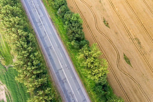 Widok Z Lotu Ptaka Drogi Między żółtymi Polami Pszenicy I Zielonymi Drzewami.