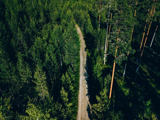 Widok z lotu ptaka drogi w zielonym letnim lesie sosnowym w Finlandii