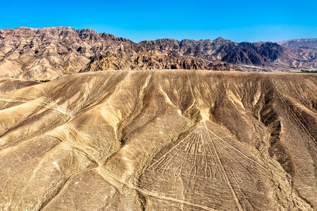 Widok Z Lotu Ptaka Geoglify Palpa. światowe Dziedzictwo Unesco W Peru