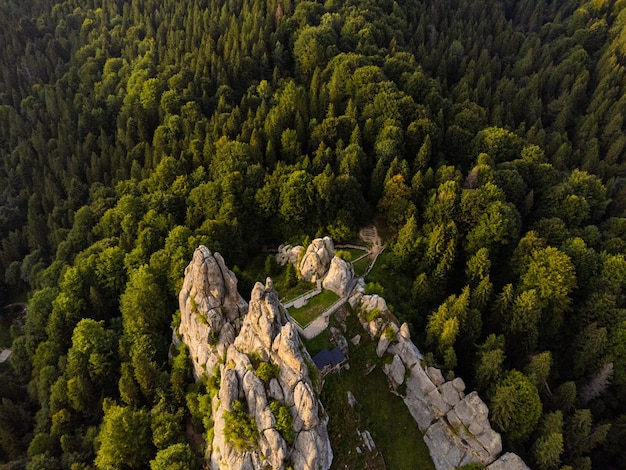 Widok z lotu ptaka górskiego lasu