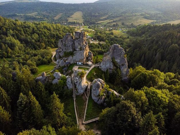 Widok z lotu ptaka górskiego lasu