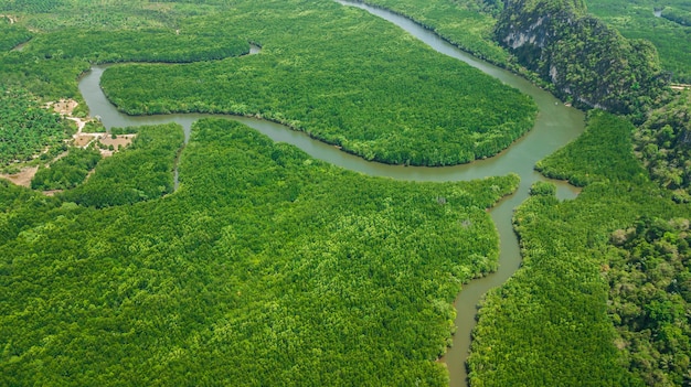 Widok z lotu ptaka krajobraz drzewo lub las, Krabi Tajlandia