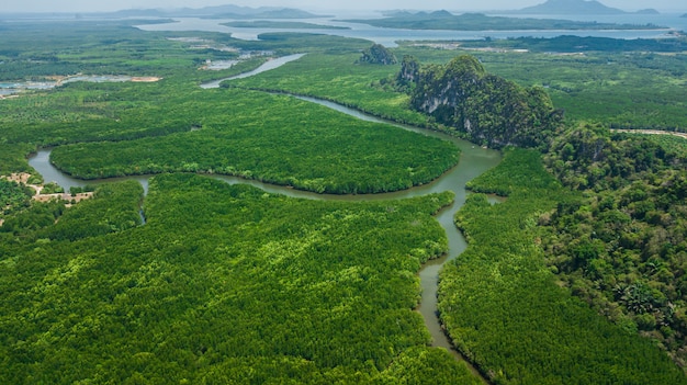 Widok z lotu ptaka krajobraz drzewo lub las, Krabi Tajlandia
