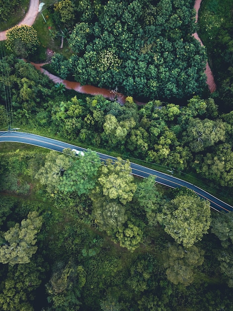 widok z lotu ptaka krajobraz na las