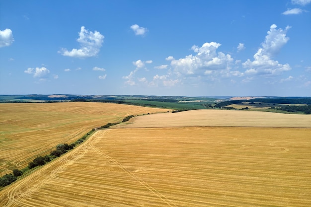 Widok z lotu ptaka krajobrazu żółtego pola uprawnego z suchą słomą ściętej pszenicy po zbiorze.