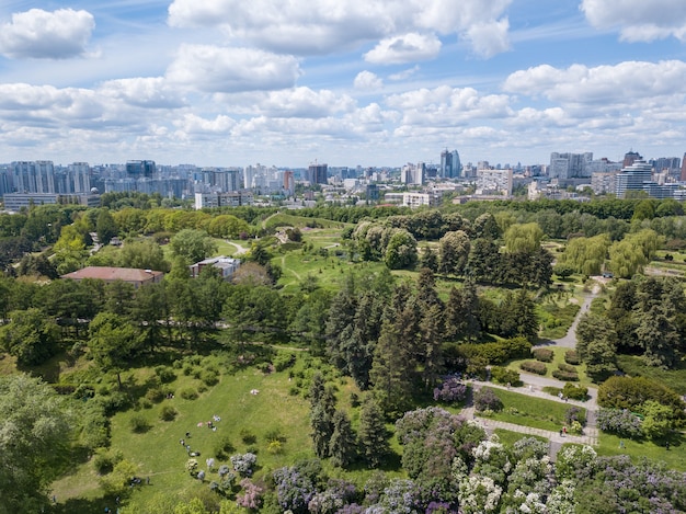 Widok z lotu ptaka ludzi w pięknym zielonym ogrodzie botanicznym latem, budynki miejskie na horyzoncie