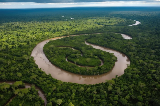 Widok z lotu ptaka na amazony przedstawiający bujny i różnorodny krajobraz z krętymi rzekami