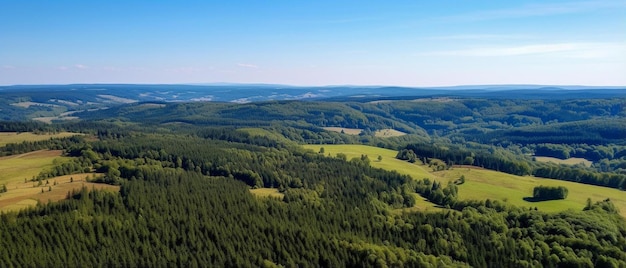 Zdjęcie widok z lotu ptaka na dolinę z drzewami na pierwszym planie