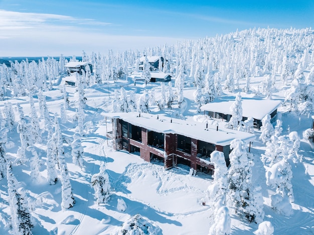 Widok z lotu ptaka na drewnianą chatę i pokryte śniegiem drzewa zimą Finlandia Laponia Zdjęcia dronem z góry