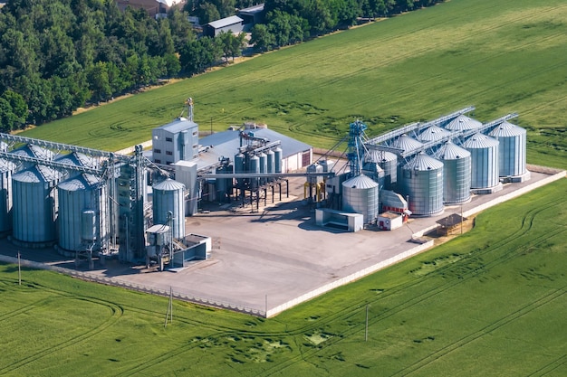 Widok z lotu ptaka na elewator spichlerzy agro silosowych z linią do czyszczenia nasion w zakładzie produkcyjnym przetwórstwa rolnego do przetwarzania, suszenia, czyszczenia i przechowywania produktów rolnych na polu żyta lub pszenicy